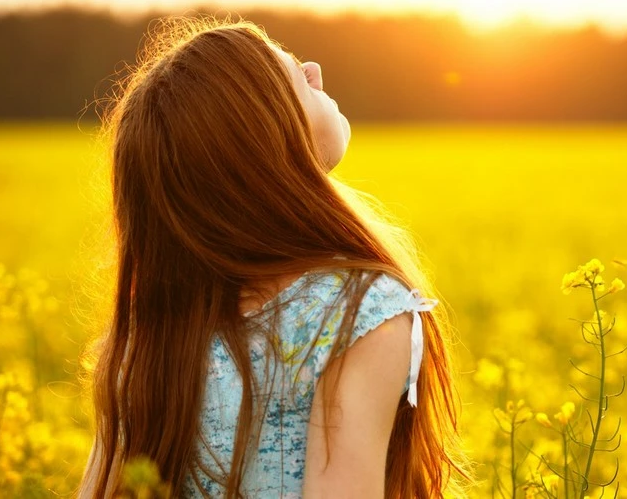 GNDI NotreLife UP Pessoa Física